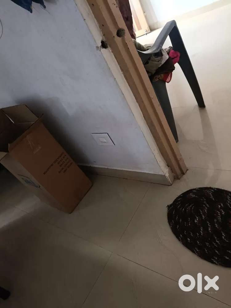 Flatmet room partner pg