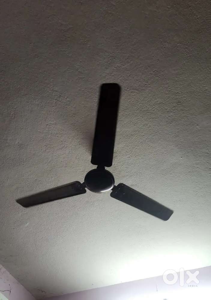 2 bajaj Fan