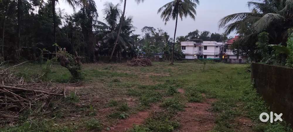 Aluva kadungalloor 5,6,10 cent house plot