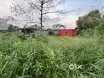 15 cent land for rent @ kakkanad seaport road near bmc college