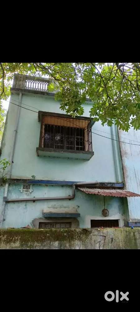 1 BHK Flat Available for Rent on 1st Floor