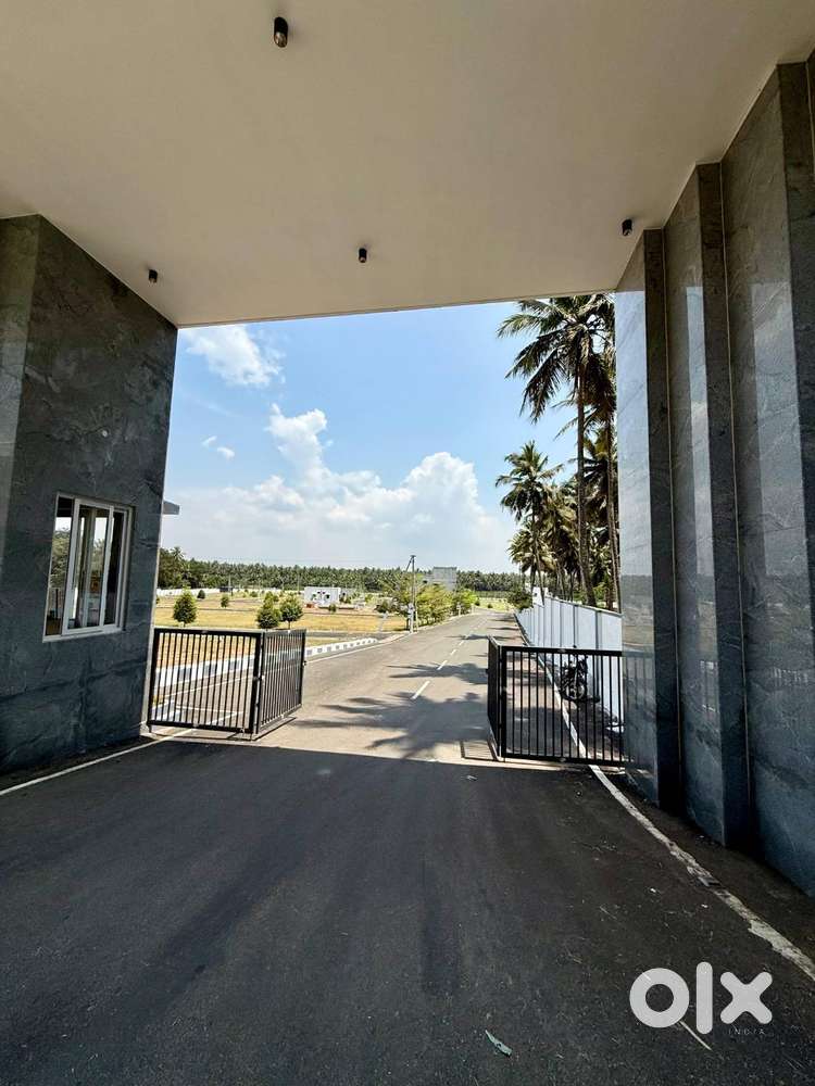 EXCLUSIVE PLOTS ARE AVAILABLE FOR SALE NEAR PALAKKAD BYPASS  ROAD