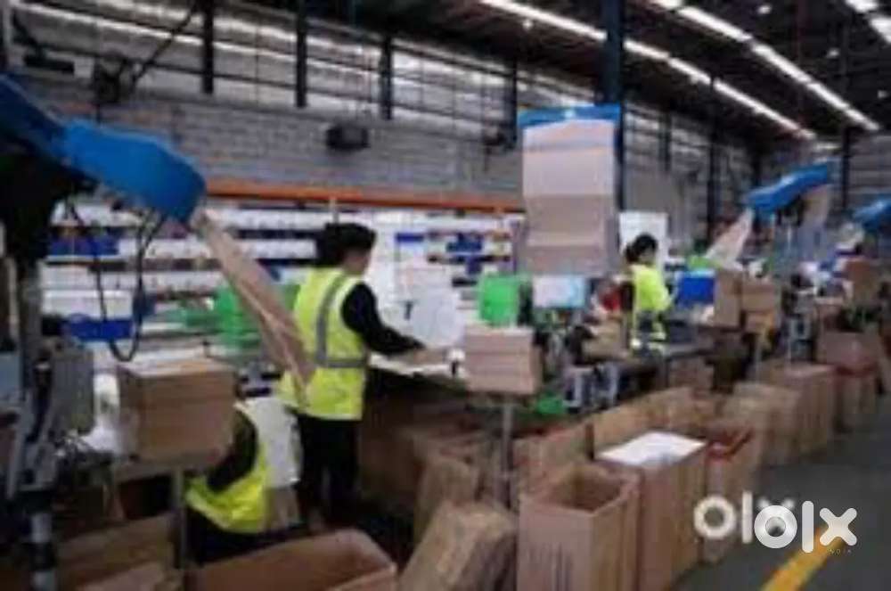 PACKING/HELPER/JOB FRESHER AND EXPERIENCE BOTH CAN APPLY.