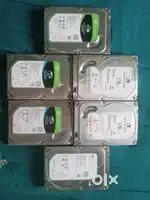 Blue feather and Seagate
