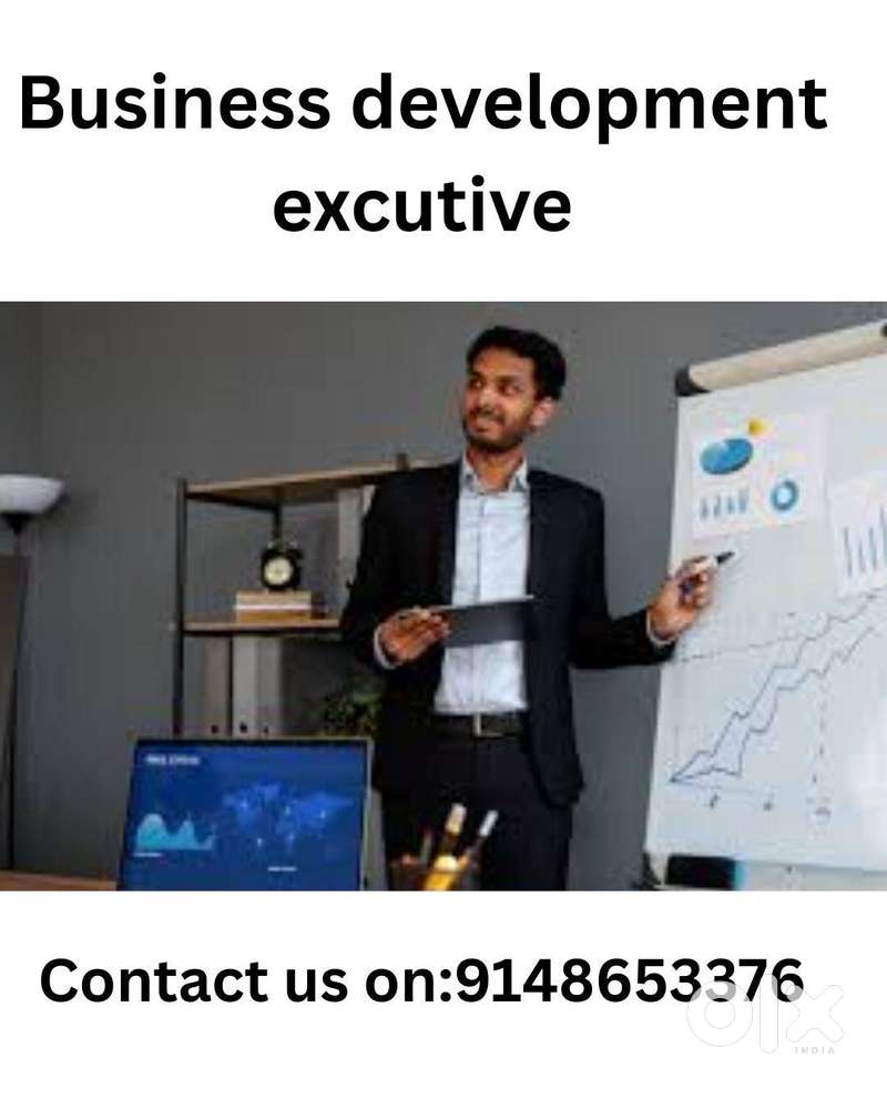 Business development excutive
