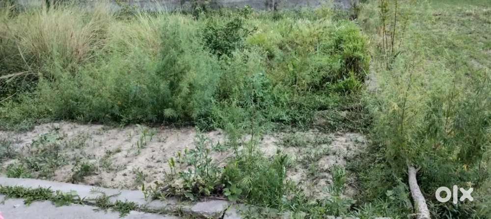 1800 square feet plot in good location