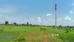 Near By Bilasa airport and near by sirgitti 4.5km only