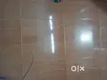 2bhk house rent Tharamani mosque backside