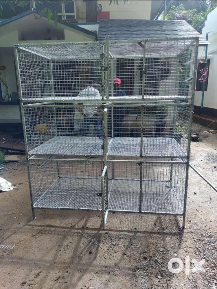 All type of cages are redy to work