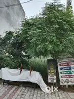 Plot 36 gaz for sale near kiwi hospital
