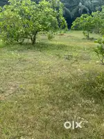 Two km from NH-16
