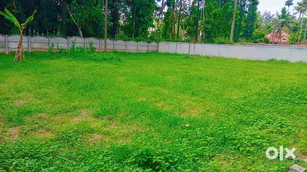 10 cent square  land plot in avittatur