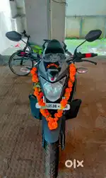 Honda Hornet