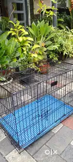 Used Cage for Sale