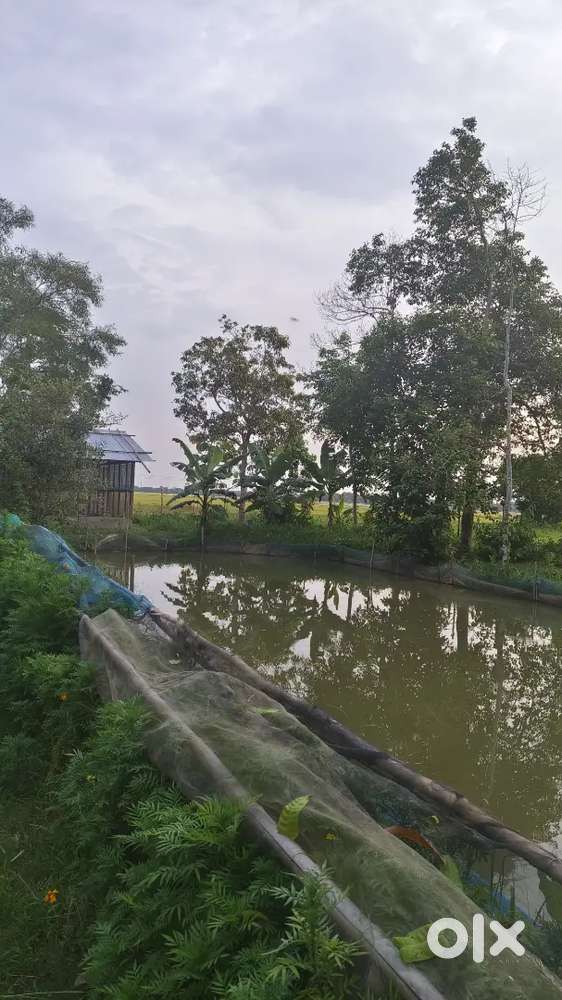 ফাৰ্মৰ কৰ্মচাৰী।