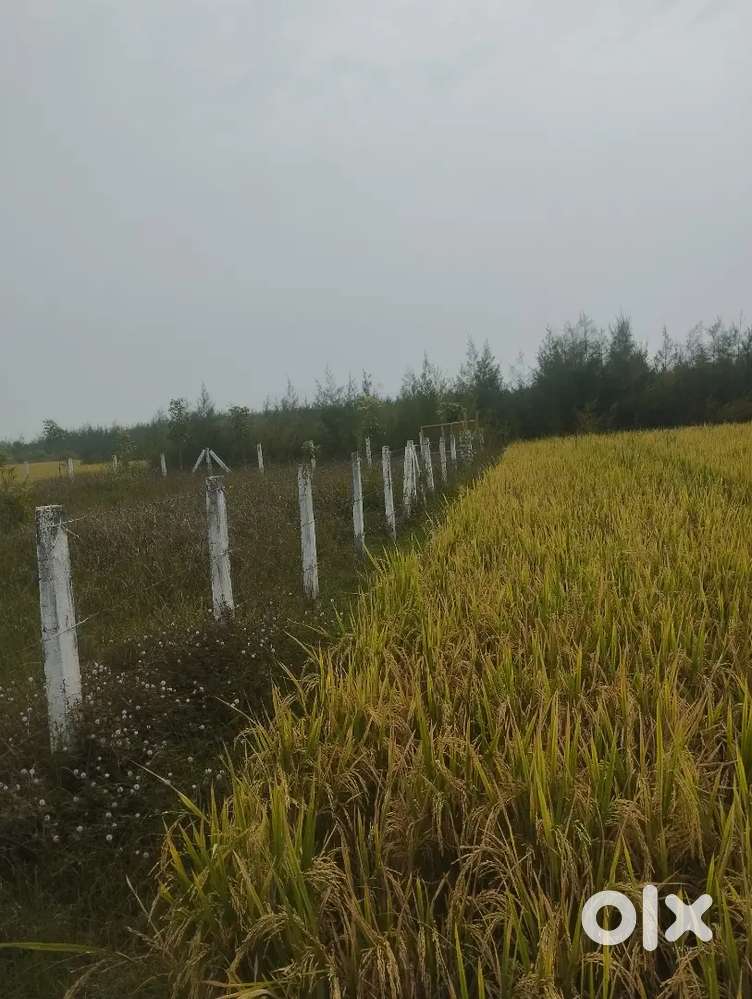 Agriculture land for sale at Taipuram near Buthayyapeta