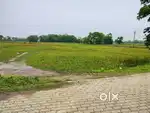 3 BIGHA MYADI LAND FOR SALE 42.5 lacks/ Bigha