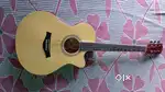 Crusader Guitar : Model No. - CF 4000