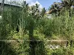 Thrissur chittilappilly 5 cent plot 1000 sqft Foundation for sale