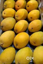 Yummy Ratnagiri Hapus available 2.5 dozen.