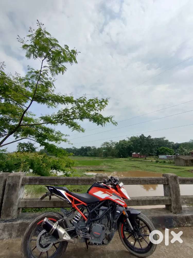 Amguri gaon moranhat