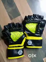 MMA gloves