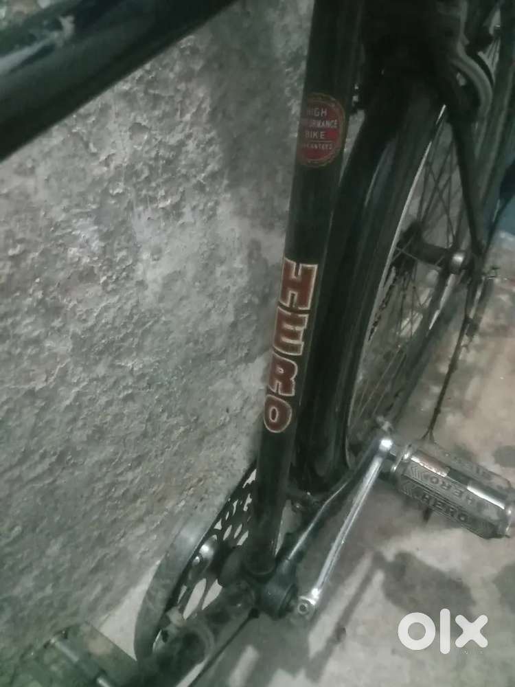 New cycle one yere Old standing