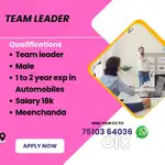 Hiring  TEAM LEADER