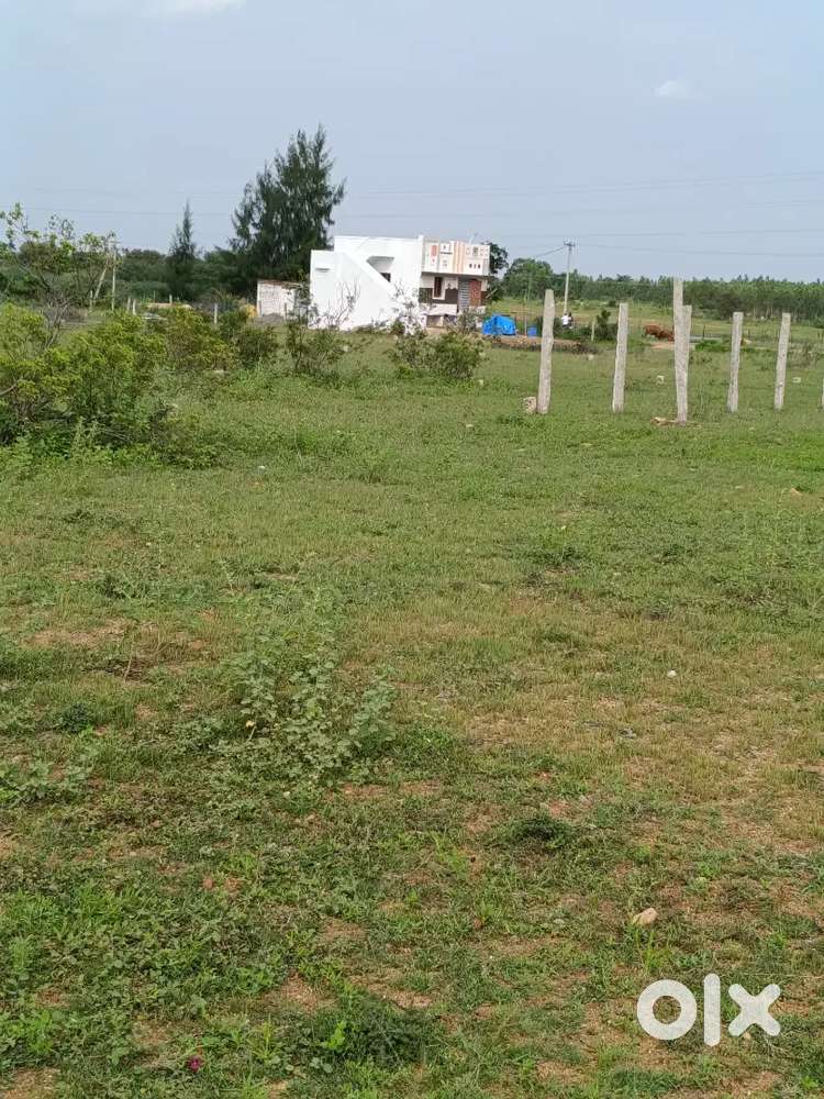 கிறிஸ்துமஸ் அதிரடி  விலை குறைப்பு