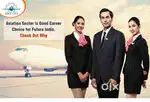 Open Vacancies for Male/Female in Indigo Airlines Apply now.