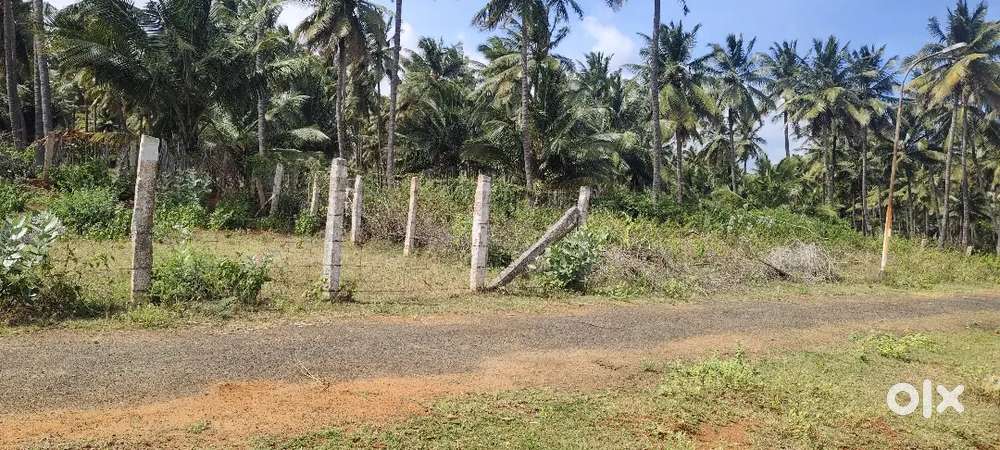 siruvani Main Road madampatty per cent 7.25 lakhs