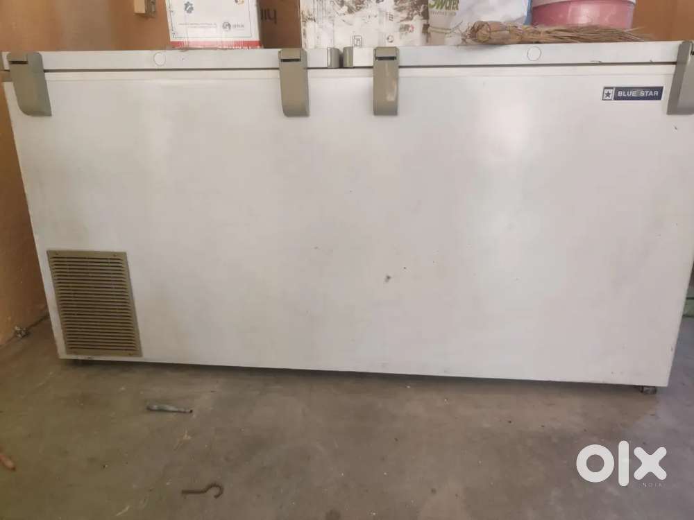 Blue star deep freezer 500L