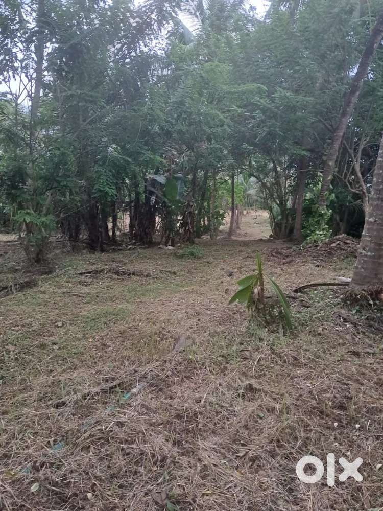 4.3 acre land river side property for sale