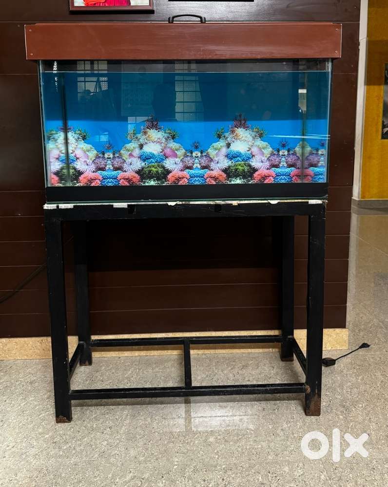 Best Quality Aquarium, Top cover, Metal Stand and LED light for sale