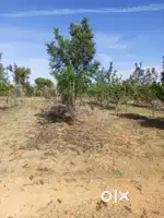 Agriculture land for sale