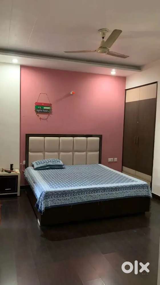 Fully Furnish Room Opp DD Puram