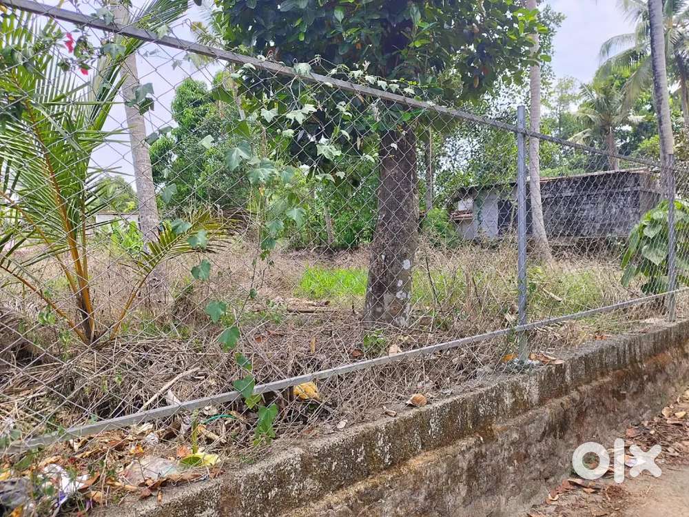 12 cent land square plot for sale at thuruthy Changanassery