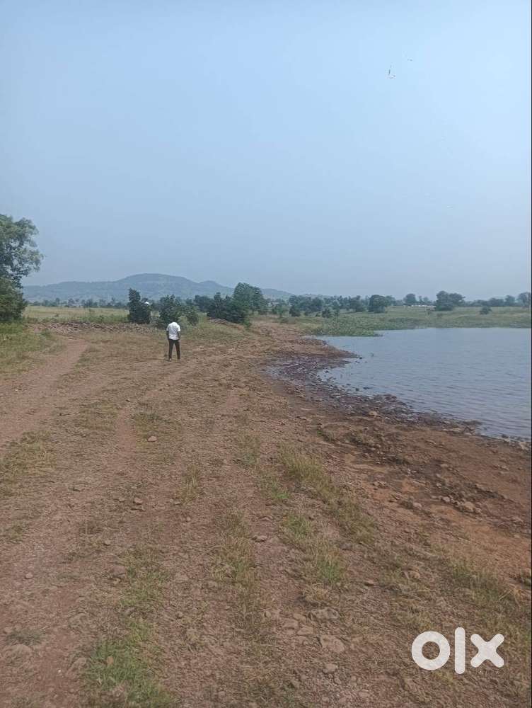 100 Acre land in Katol tahasil at 10.5 lakh per acre