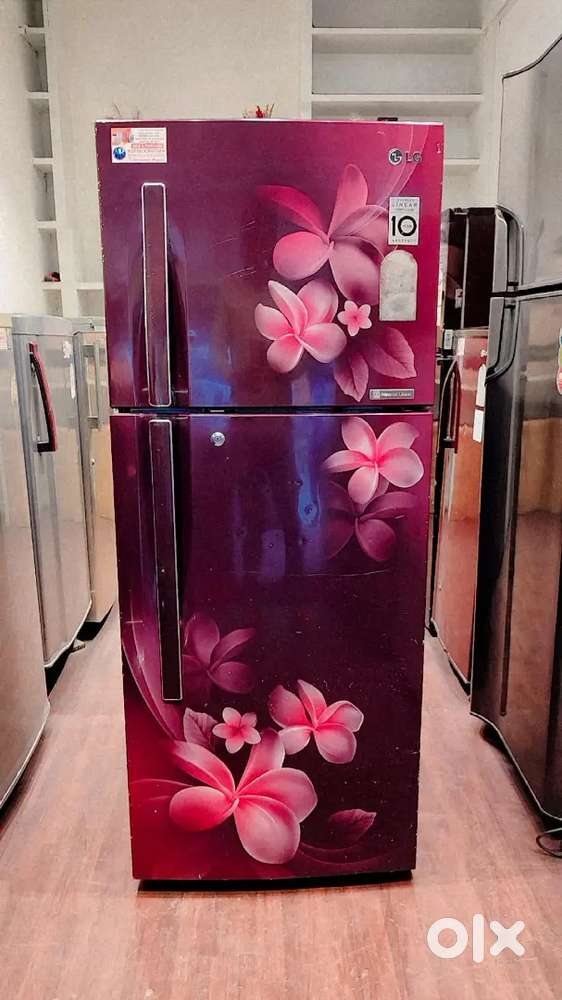 LG 255 L 3Star Frost Free Double Door Refrigerator Free Delivery Stand