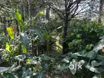 Residential plot for sale in oonnukal