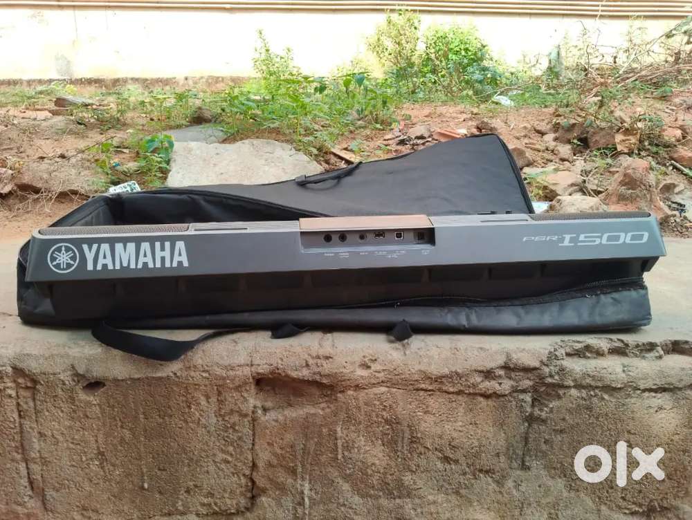 Musical instrument