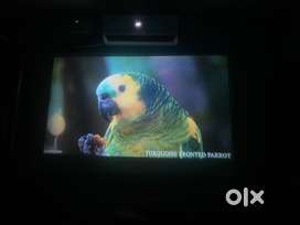 Projector wzacto