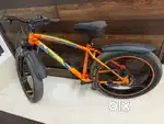 Fat bike cycle