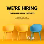 Tele Calling Executive