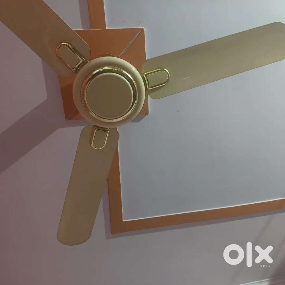 Bajaj Ceiling Fan (Qty-02)