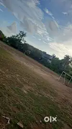 Needs Taxi Driver