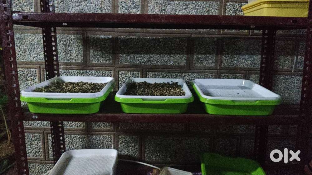 Packaging and delivery Service