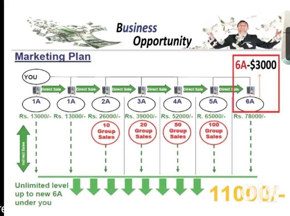 Distributor Opportunity(direct sales)