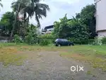 6 Cent of Commercial Property in Kacheripady