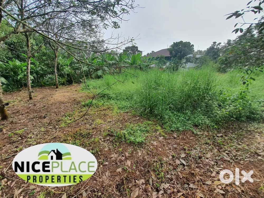 7 Gent's residential land for sale per cent ₹ 2.5 lakhs at  Vettikkal
